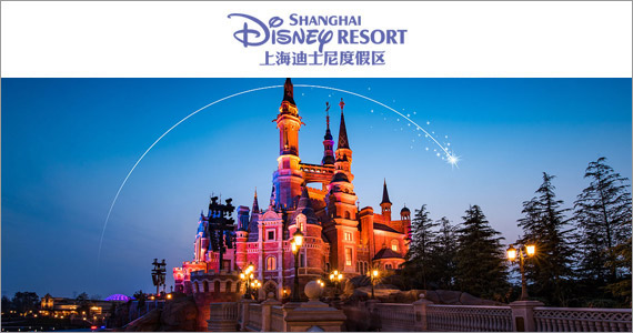 上海国际旅游度假区运营管理有限公司